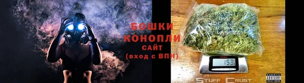 прущие грибы Горняк