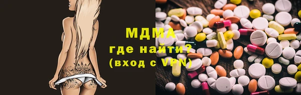 прущие грибы Горняк