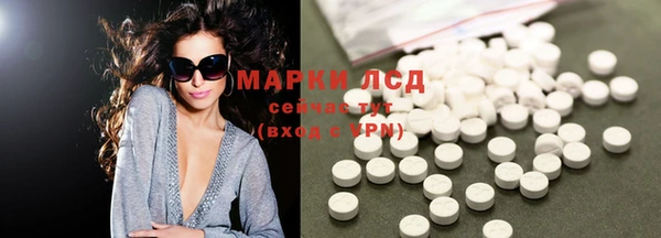 ГАЛЛЮЦИНОГЕННЫЕ ГРИБЫ Вязьма