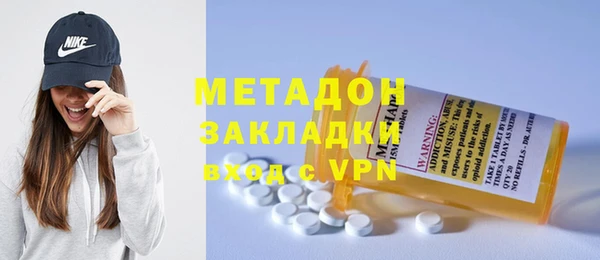 прущие грибы Горняк