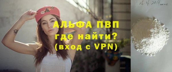 прущие грибы Горняк