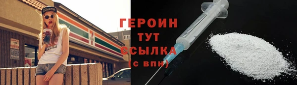прущие грибы Горняк
