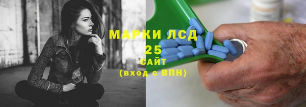 ГАЛЛЮЦИНОГЕННЫЕ ГРИБЫ Вязьма