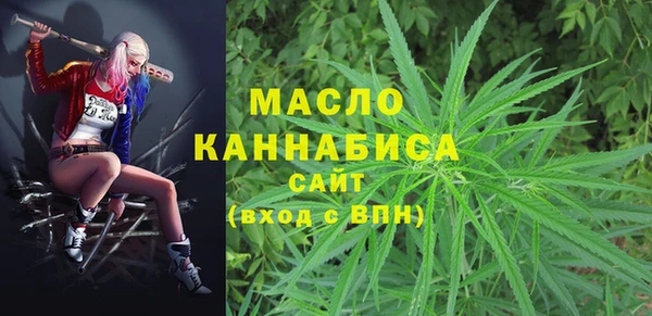 шишки Горно-Алтайск