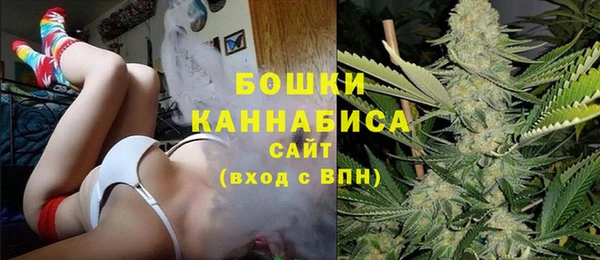 шишки Горно-Алтайск