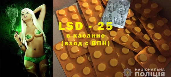 ГАЛЛЮЦИНОГЕННЫЕ ГРИБЫ Вязьма