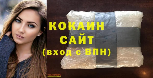 шишки Горно-Алтайск