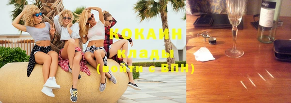 прущие грибы Горняк