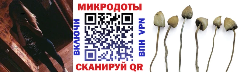 Псилоцибиновые грибы мицелий Зарайск